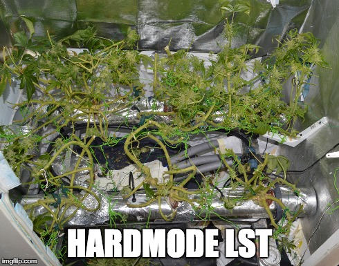 k1fhr.jpg