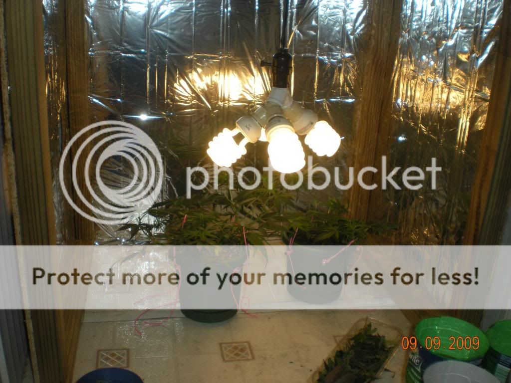 DSCN2024.jpg