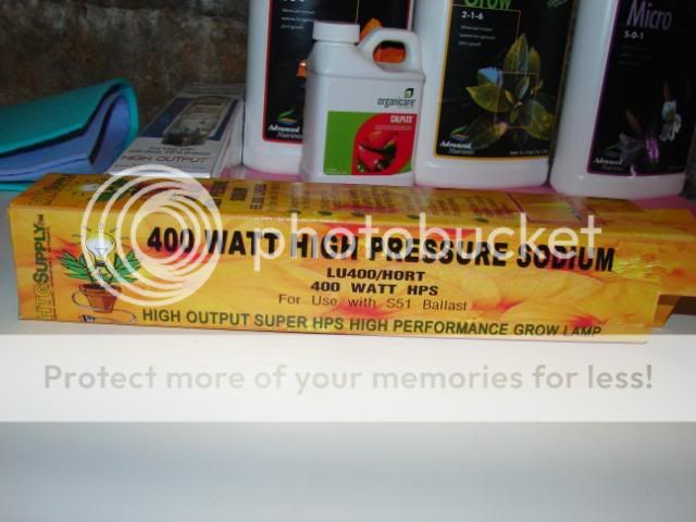 DSC05772.jpg