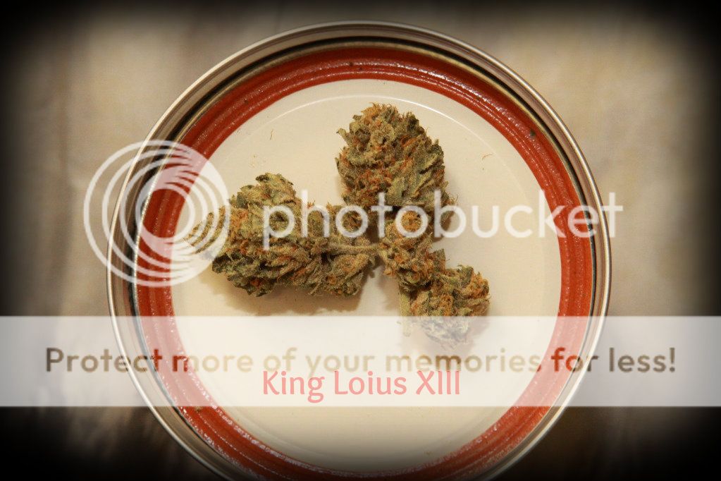 KingLouis.jpg