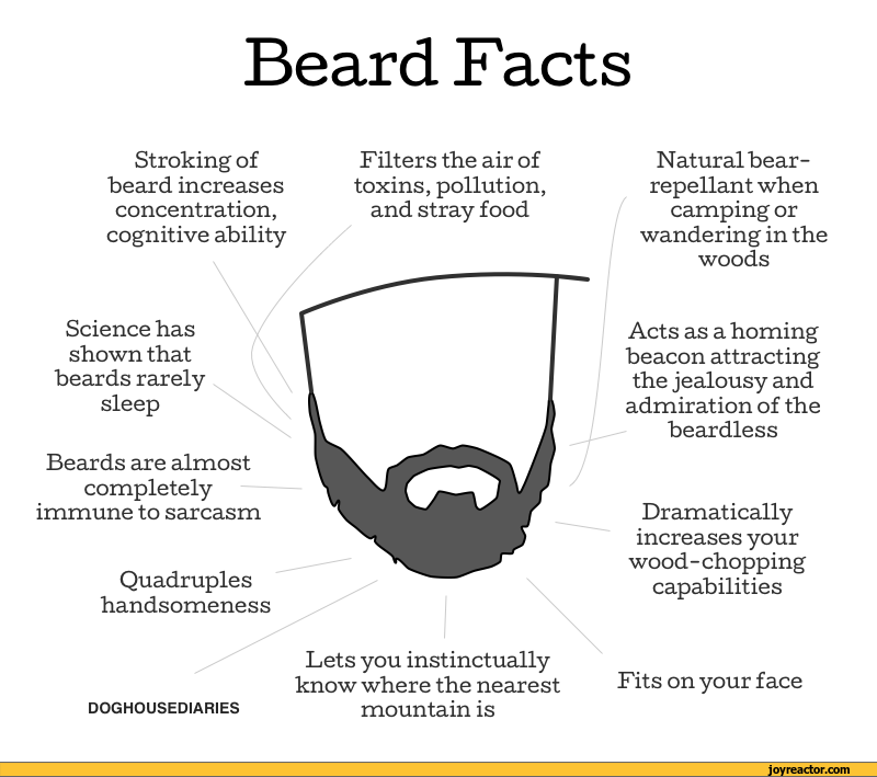 comics-thedoghousediaries-beard-facts-768197.png