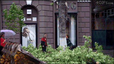 gifs_13.gif