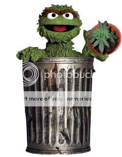 oscar1.jpg