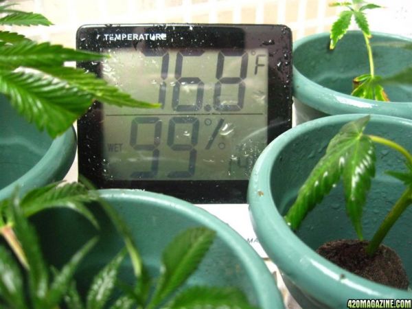 BB_CC_Grow_Update_Sep_13_038.jpg