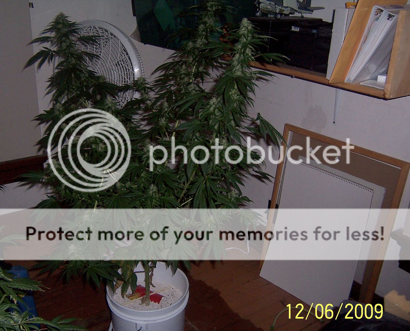 100_2361.jpg