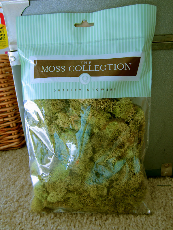 moss.jpg