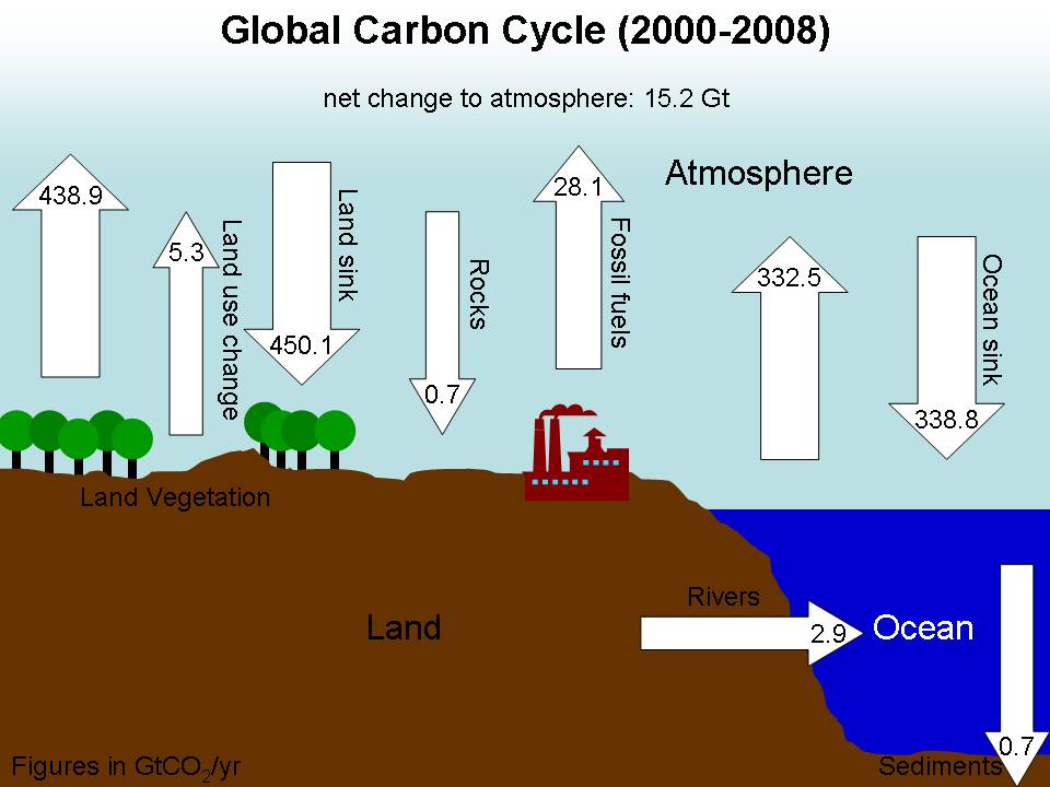 global-carbon-cycle-2000-2008.jpg