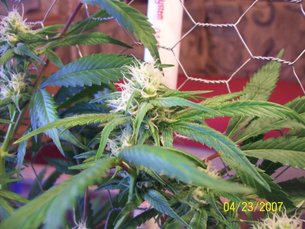 100_8753.jpg