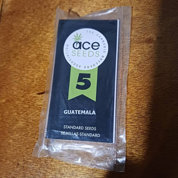 aceguatemala1.jpg