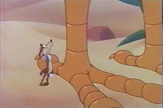 macro-roadrunner-005.jpg