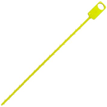 51JF9CM8GxL._SY355_.jpg