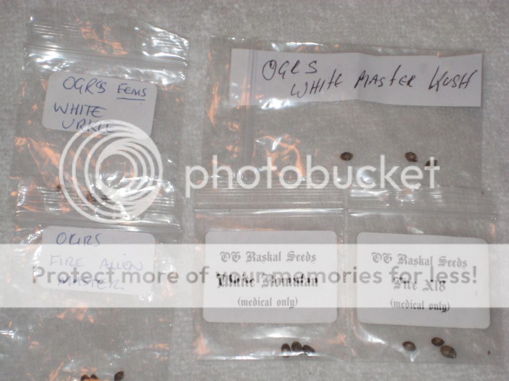 005-35.jpg