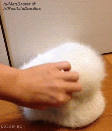 gifs_23.gif