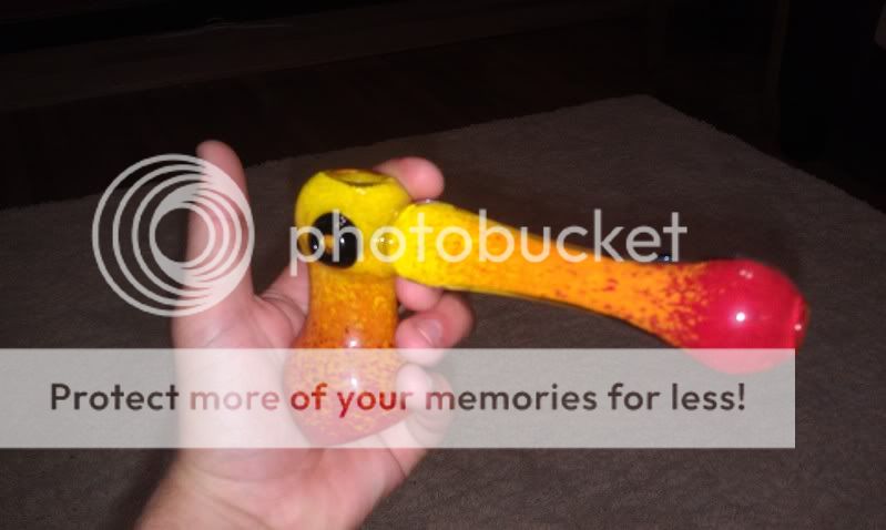 IMAG0268.jpg