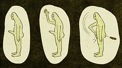 27551365695_f45c1c38a7_m.jpg