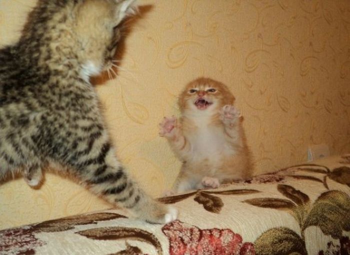 acid_picdump_87.jpg