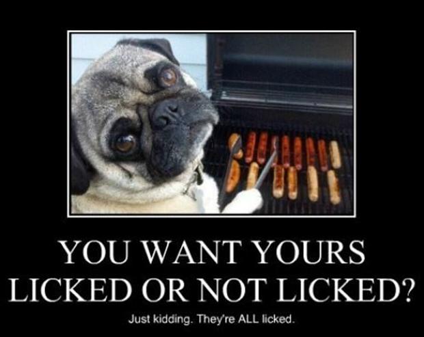 1980371917-funny-dogs-bbq-hot-dogs.jpg