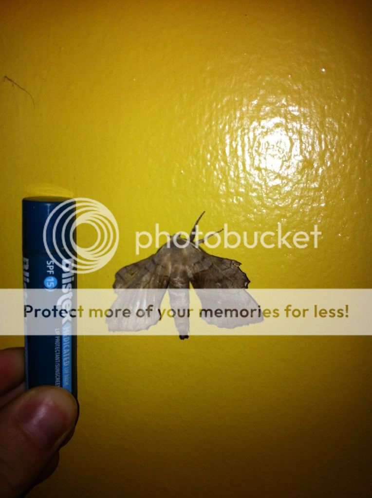 photo-1.jpg