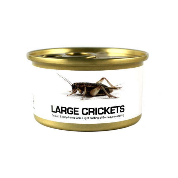 canned-big-crickets-600x600.jpg