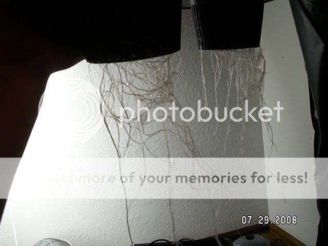 PICT0146.jpg