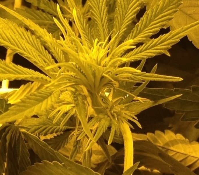 photo-12.jpg