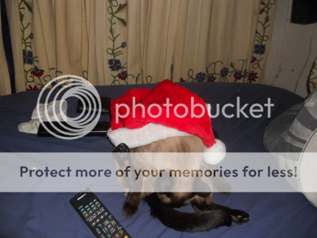 DSCN3039.jpg
