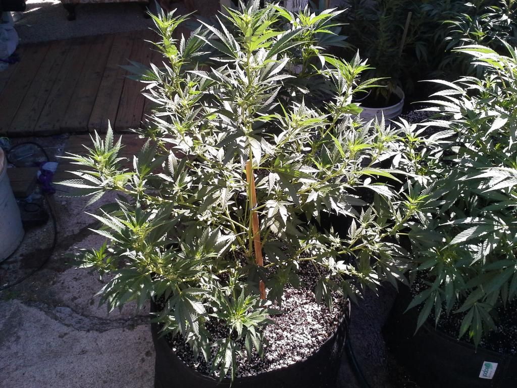 20140620_093742.jpg