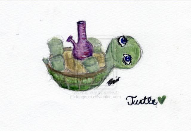 Turtle_High_2_by_tangiexe_zpsd602b87c.jpg