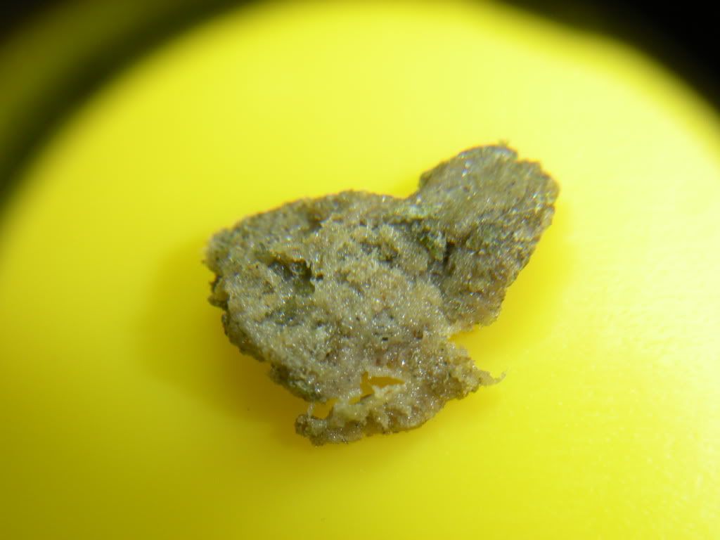 DSCN2375.jpg
