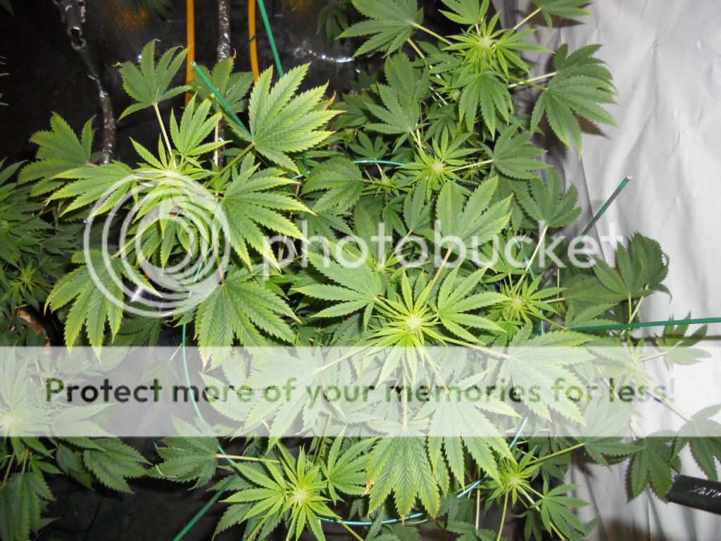 ESB3_Day24f.jpg