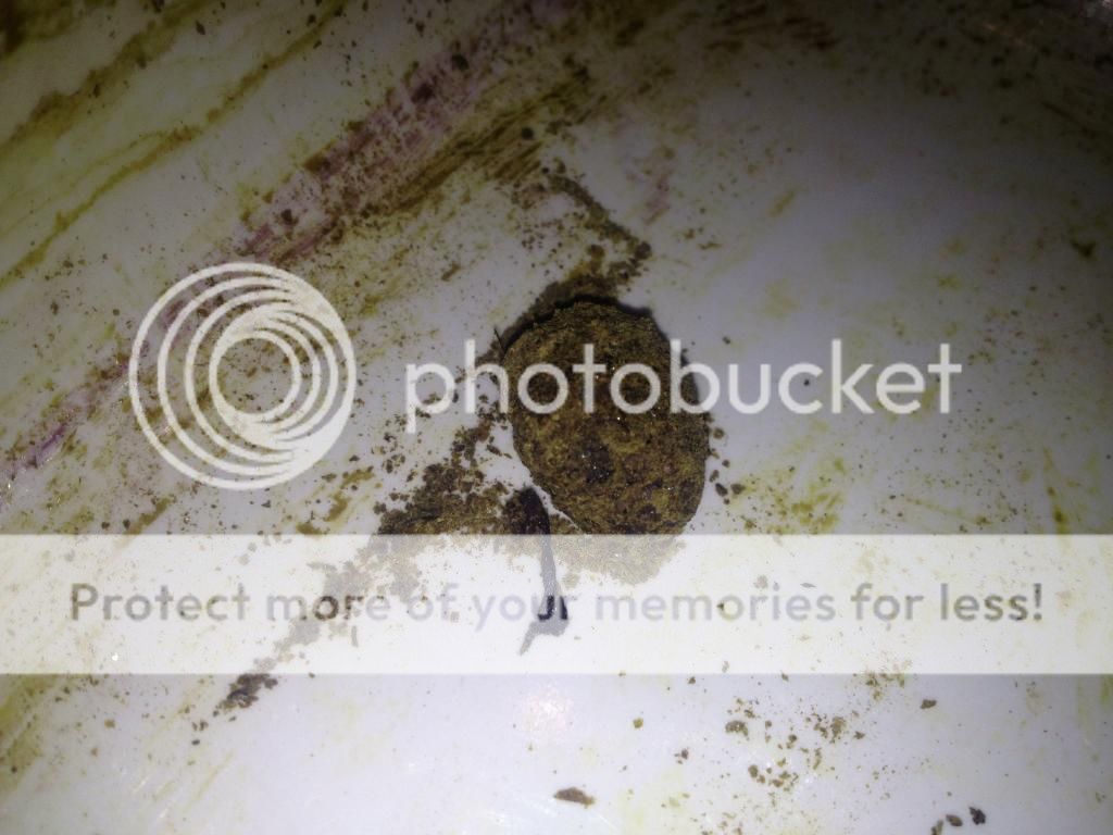 image-32.jpg