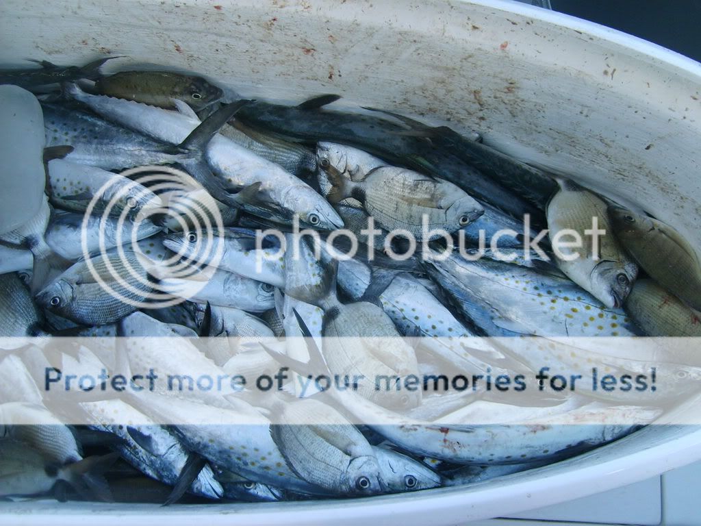 S5000087.jpg