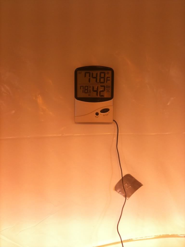 388ab878.jpg
