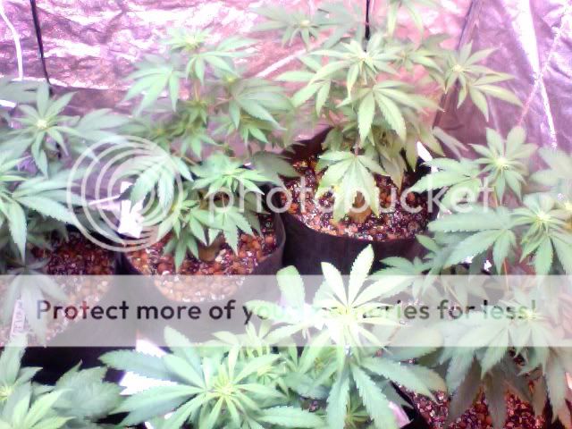 Photo79.jpg