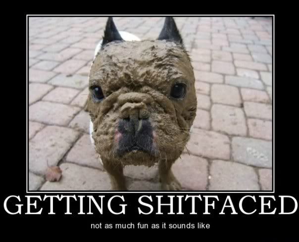 faced.jpg
