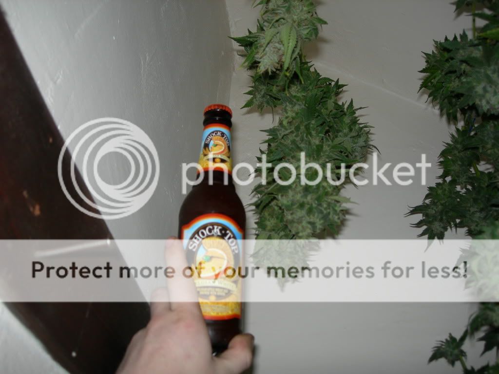 DSCN8540.jpg