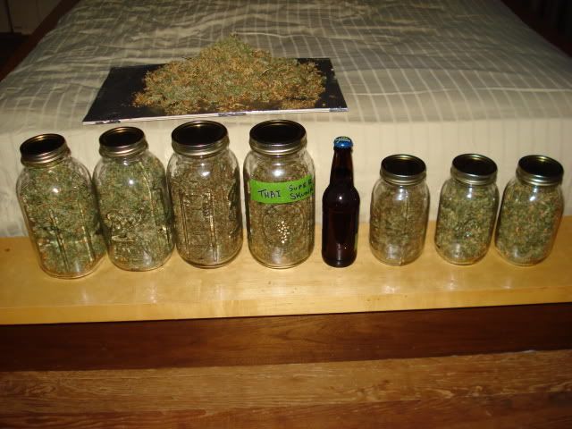 TSSLifeofPlant006.jpg
