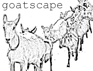 goatscape3.jpg