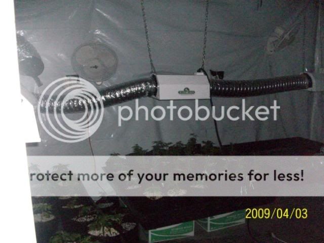 128_0402.jpg