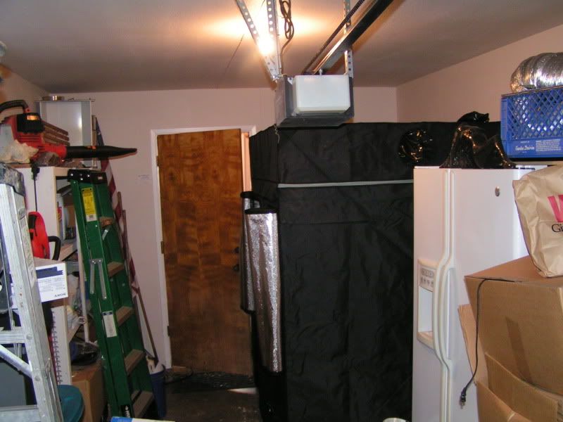 PICT7786.jpg