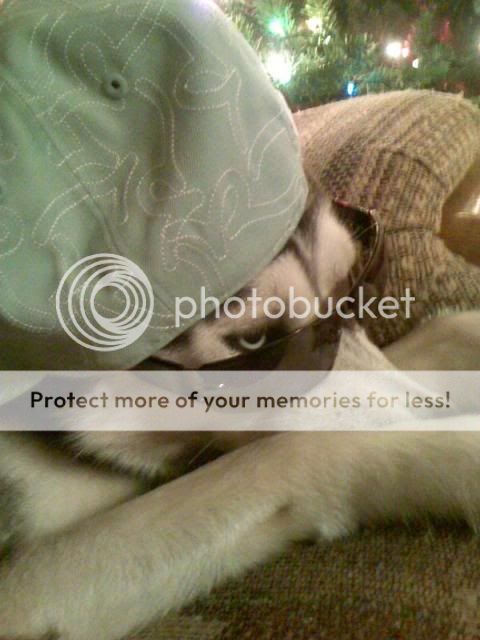 l_f0be9a972aeba718c01fecf85f1d5748.jpg
