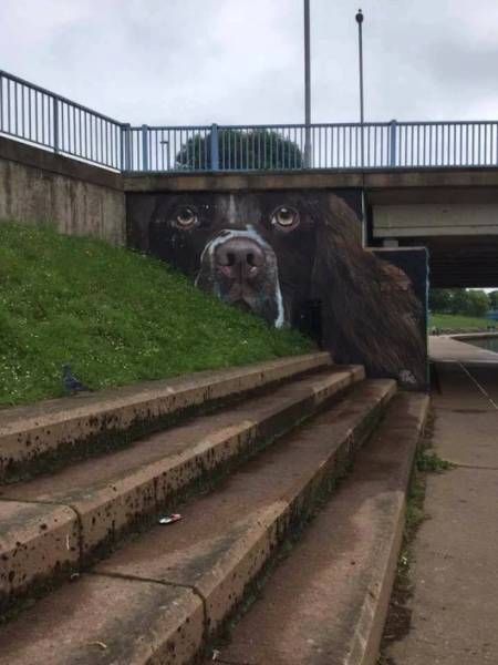 acid_picdump_104.jpg