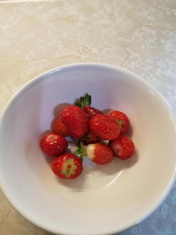 strawberry101.jpg