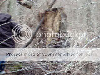 7ead03f8.jpg