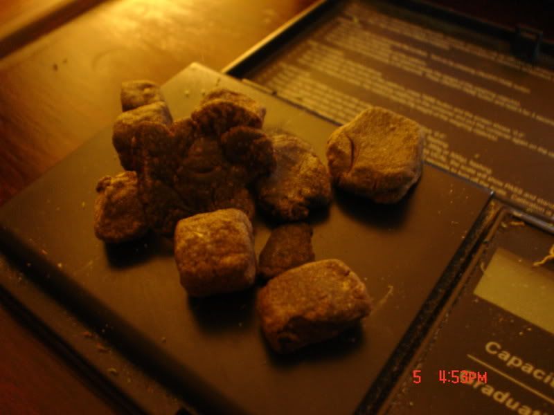 Picture007.jpg
