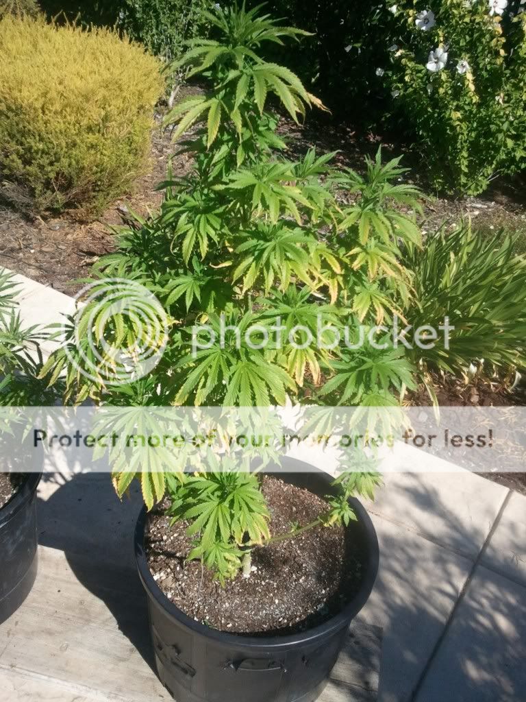 WP_000281.jpg