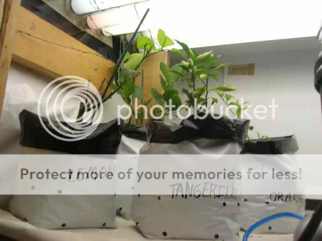 DSCN1082.jpg