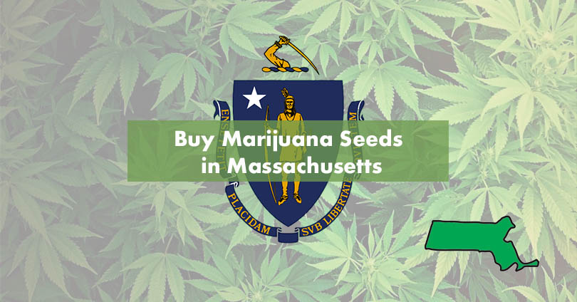 www.10buds.com