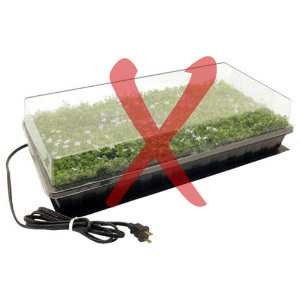 greenhouse%281%29.jpg