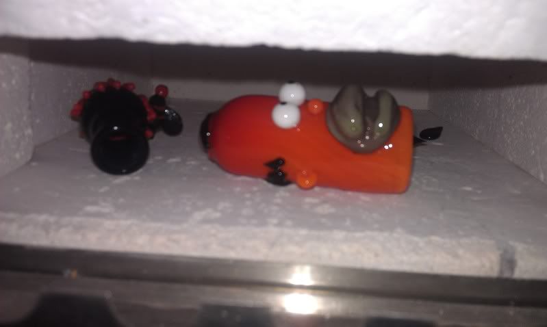 IMAG0347.jpg